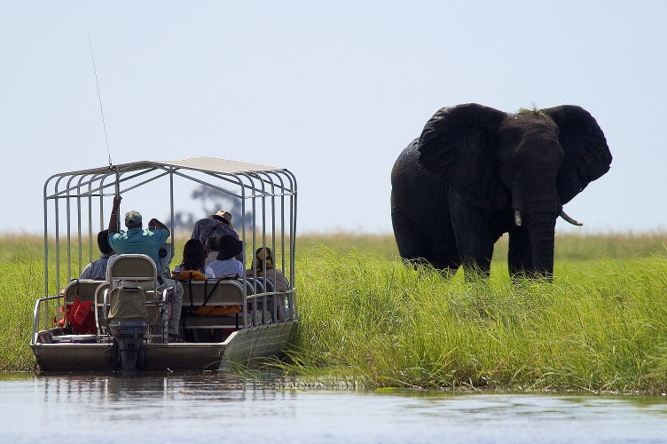 Chobe National Park